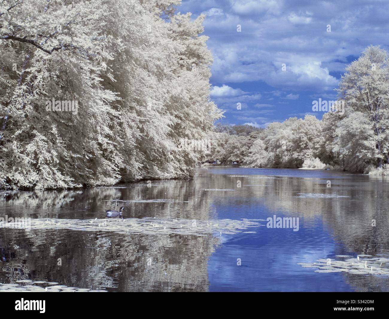 Gorgeous infrared image of a lake in New Jersey in blue and off white colors. Stock Photo