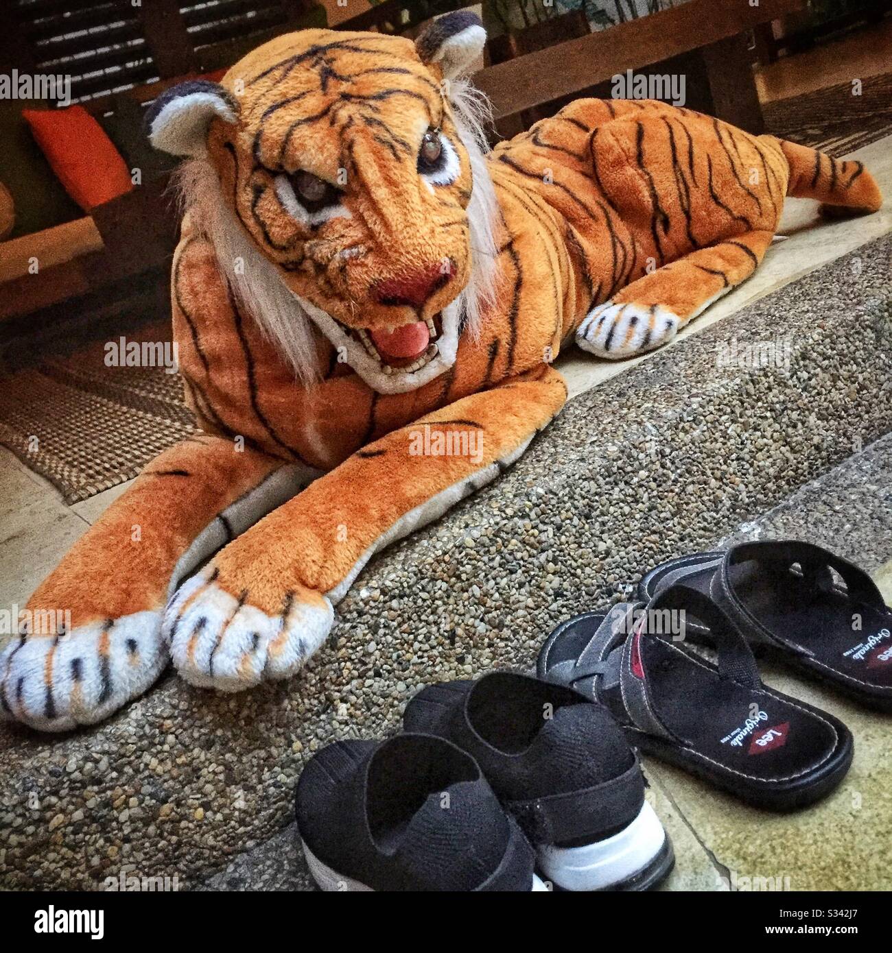 Stuffed tiger, used throughout the resort to discourage monkeys, supplied in a Garden Villa at The Banjaran Hotsprings Retreat near Ipoh, Malaysia - Smartphone Captured Stock Image