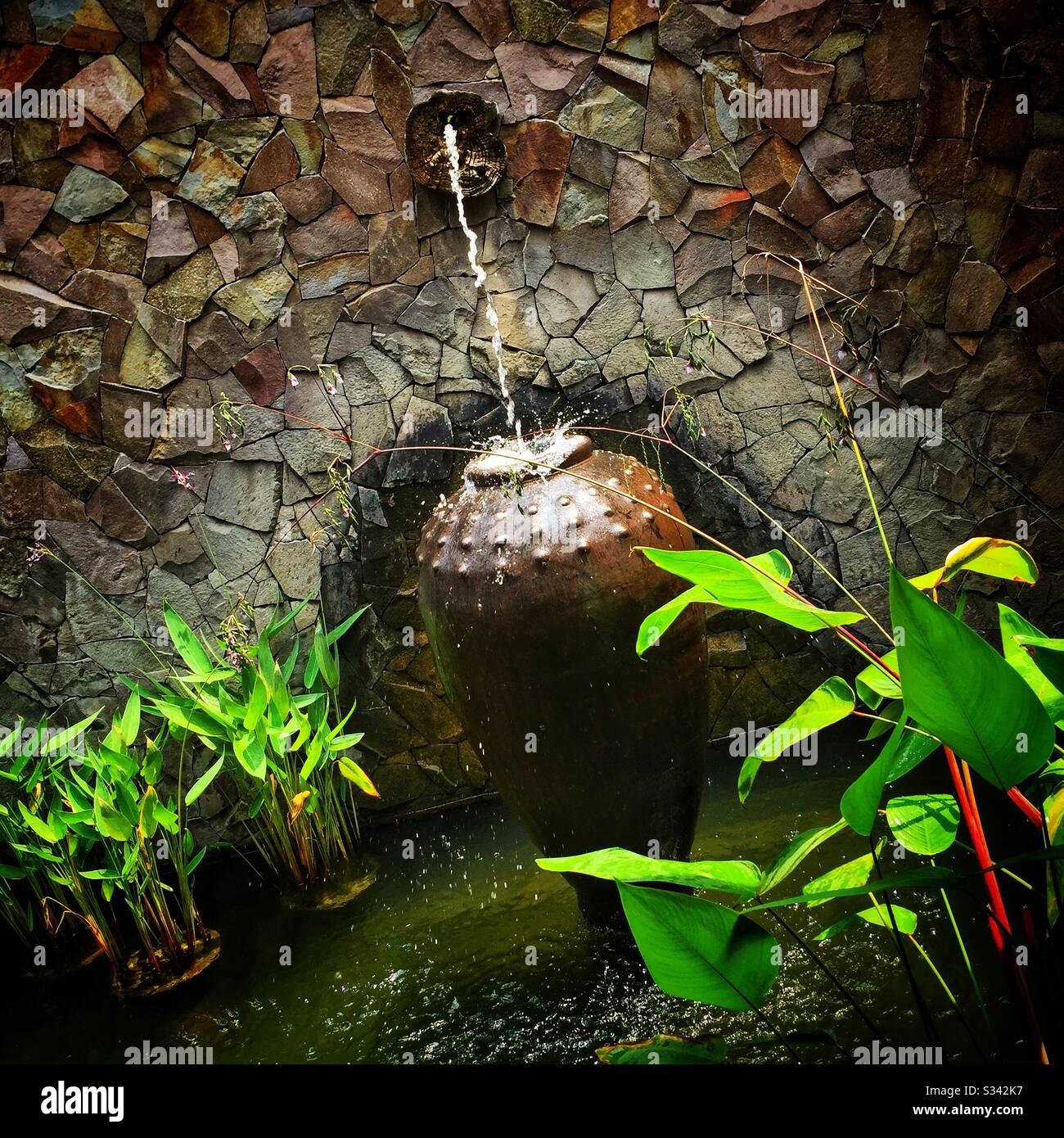 Ponds, fountains, water features and aquatic plants are a feature of the landscaping at The Banjaran Hotsprings Retreat near Ipoh, Malaysia - Smartphone Captured Stock Image