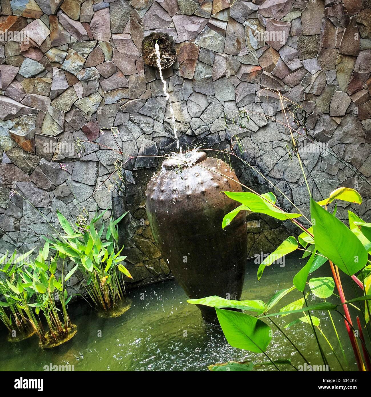 Ponds, fountains, water features and aquatic plants are a feature of the landscaping at The Banjaran Hotsprings Retreat near Ipoh, Malaysia - Smartphone Captured Stock Image