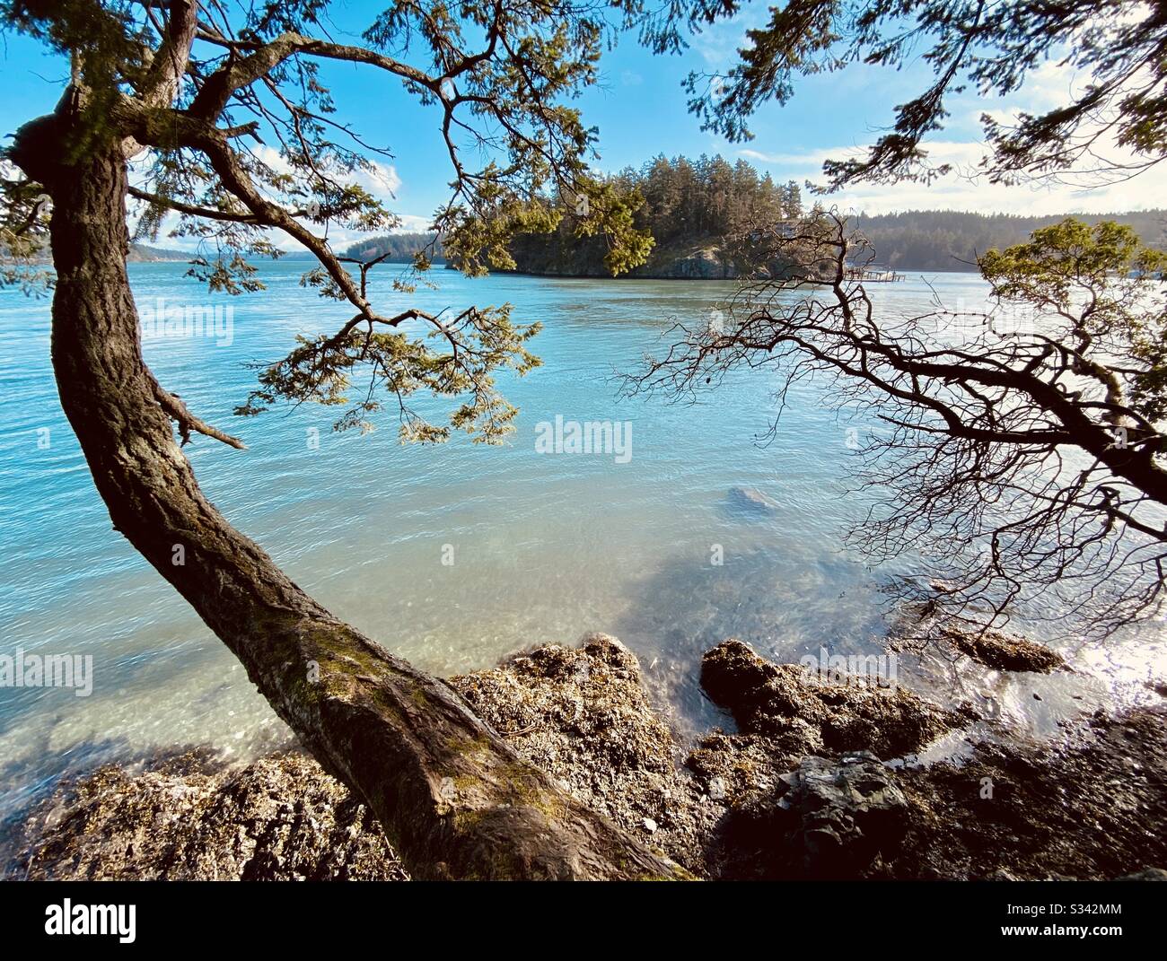 Looking towards Ben Ure Island Deception Pass State Park, Washington State, USA - Smartphone Captured Stock Image