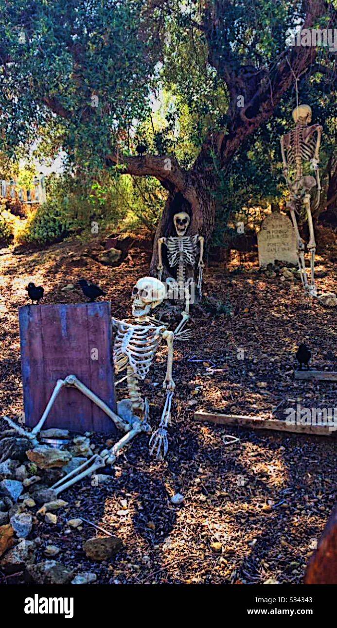 Skeleton graveyard decorations at Halloween time. Stock Photo