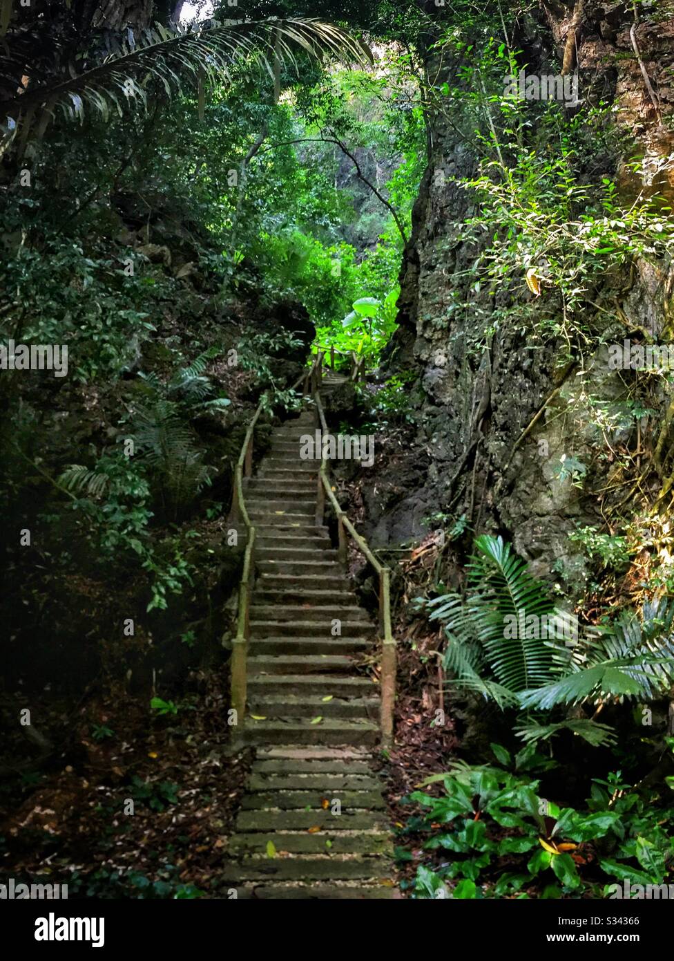 Part of the jungle walk between The Banjaran Hotsprings Retreat and the