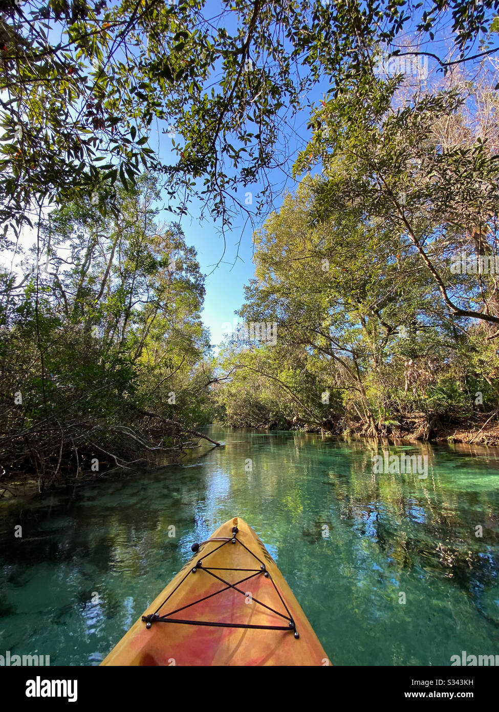 Kayaking Weeki Wachee Springs State Park, Florida Stock Photo Alamy