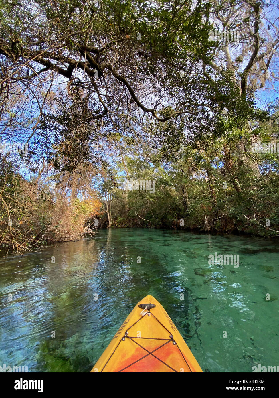 Kayaking Weeki Wachee Springs State Park, Florida Stock Photo Alamy