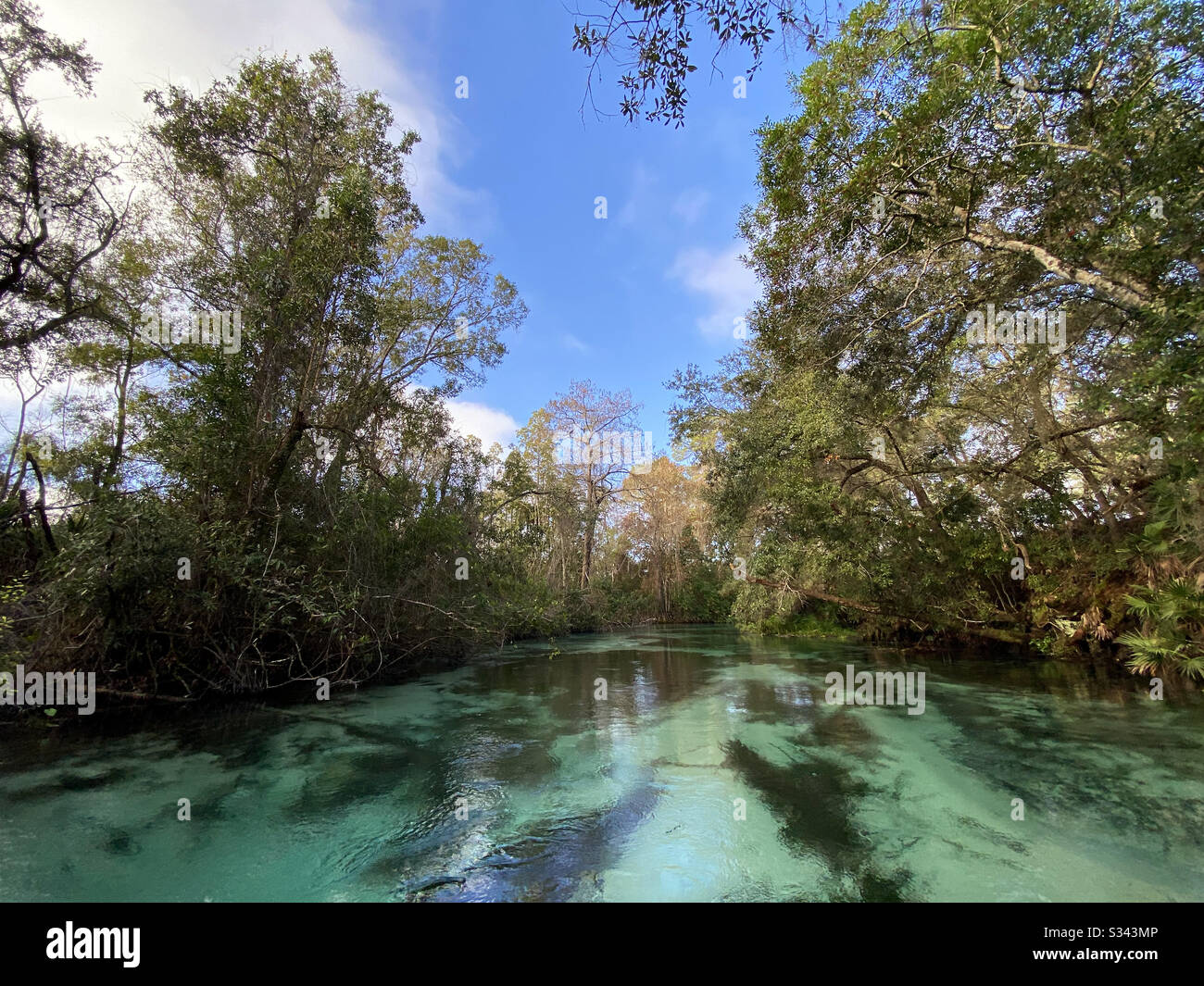 Weeki Wachee Springs State Park, Florida Stock Photo