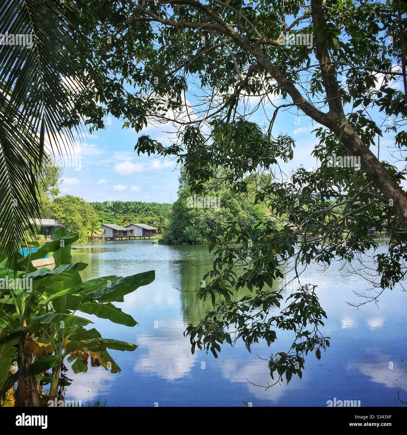 Mangala resort gambang