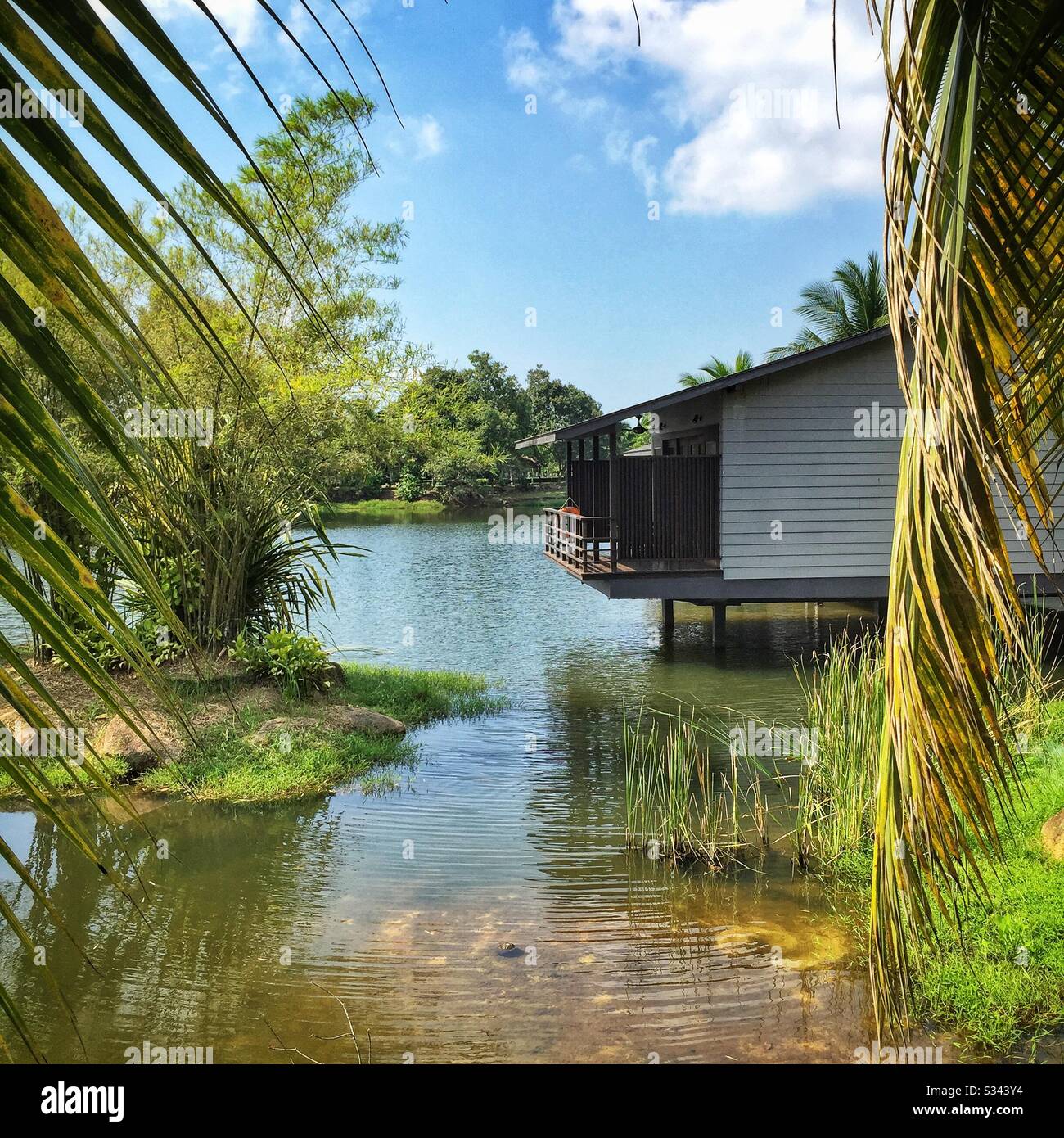 Jala Villas, built on stilts in the shallows of Mangala Lake, Mangala Resort and Spa, Gambang, Kuantan, Pahang, Malaysia - Smartphone Captured Stock Image