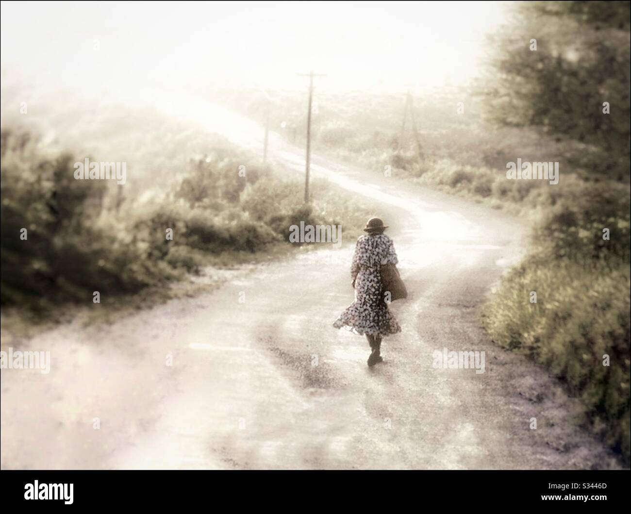A Jamaican country road. - Smartphone Captured Stock Image