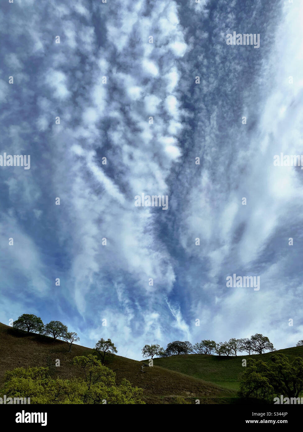 Cloudscape over oak trees and foothills - Smartphone Captured Stock Image