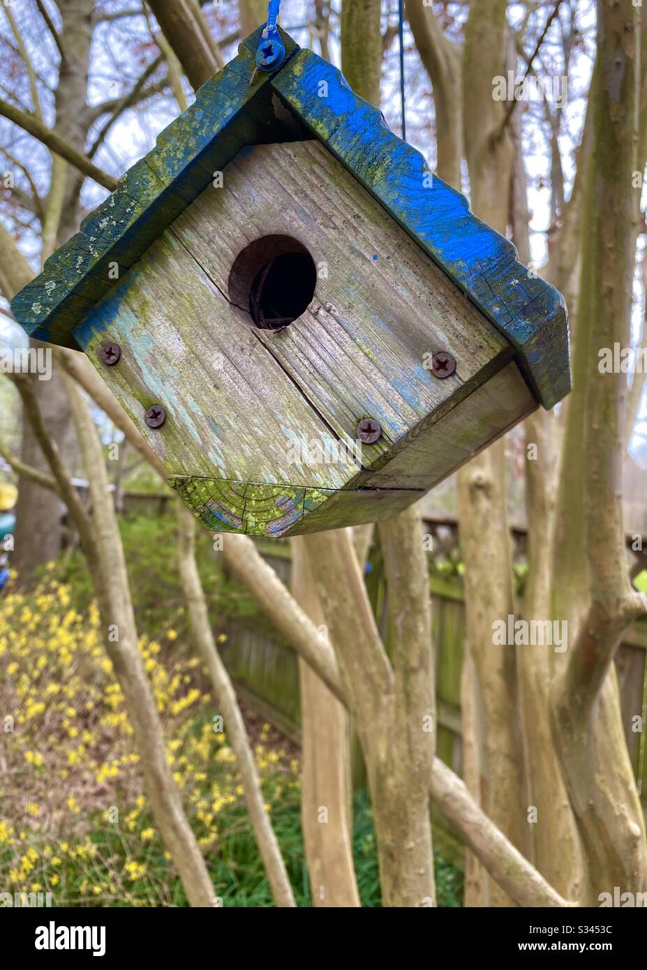 Birdhouse hanging from tree Stock Photo Alamy