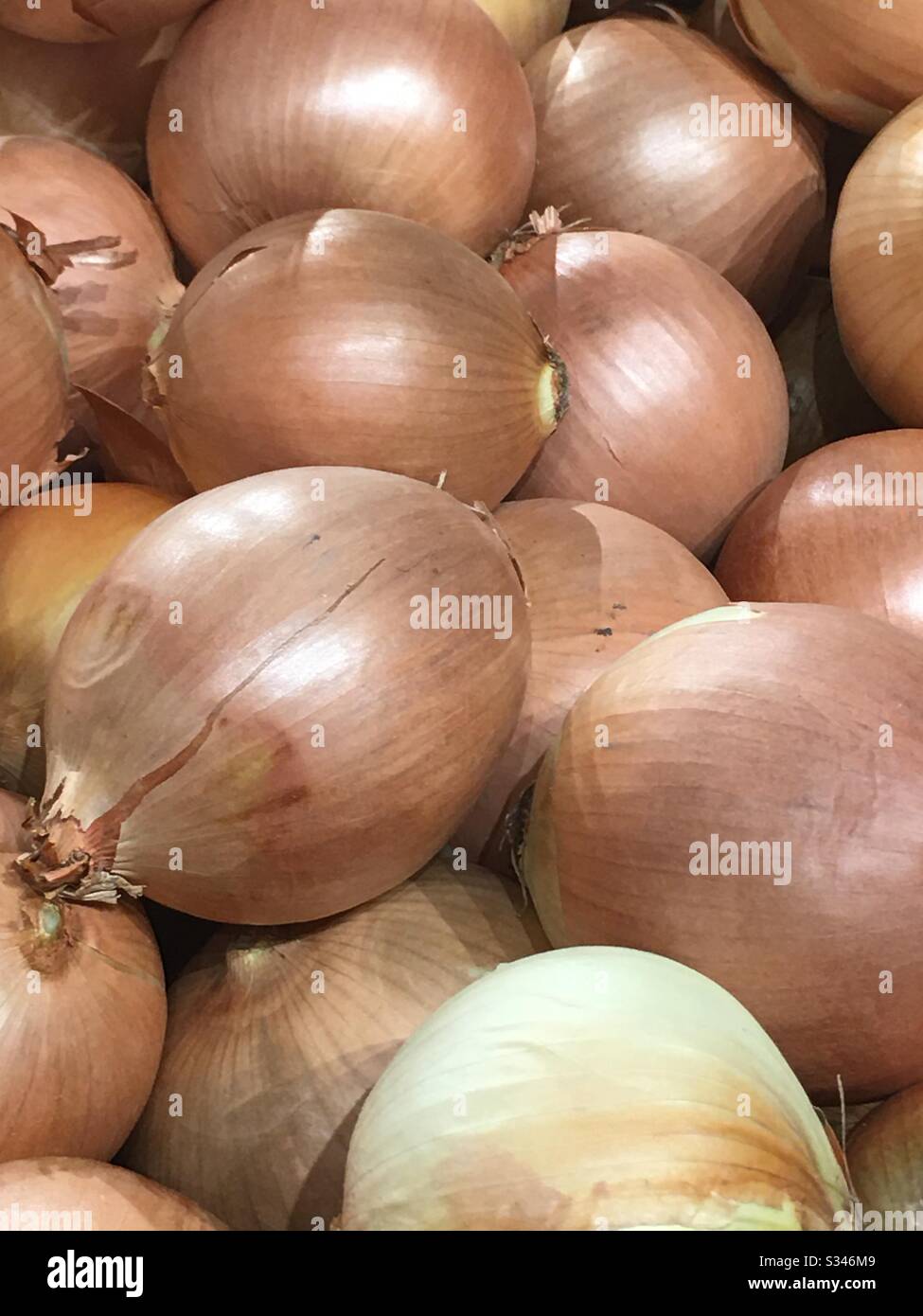 Spanish onions for sale - Smartphone Captured Stock Image