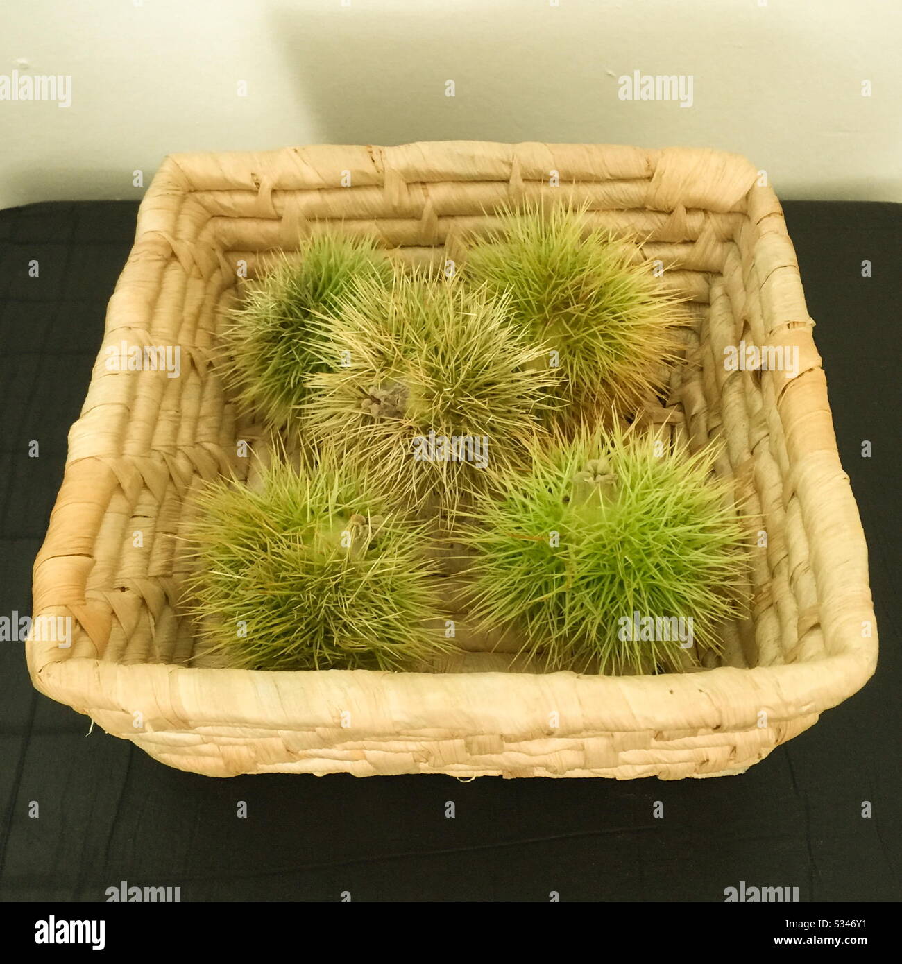 Seed heads artistically set in basket Stock Photo