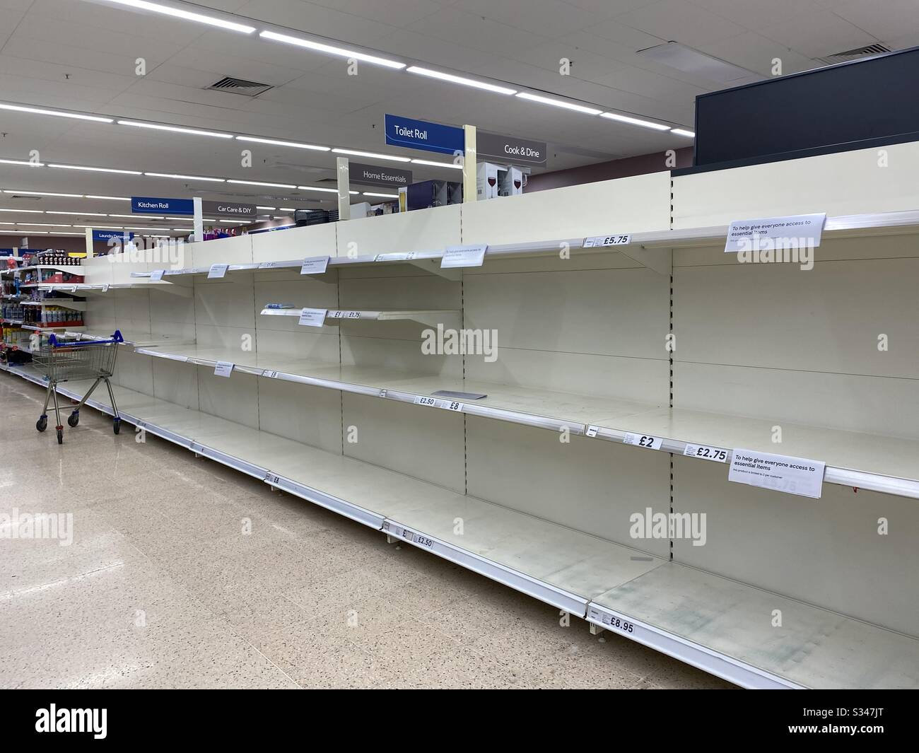 No toilet rolls in store, UK panic buying of toilet paper. Picture in Somerset UK - Smartphone Captured Stock Image