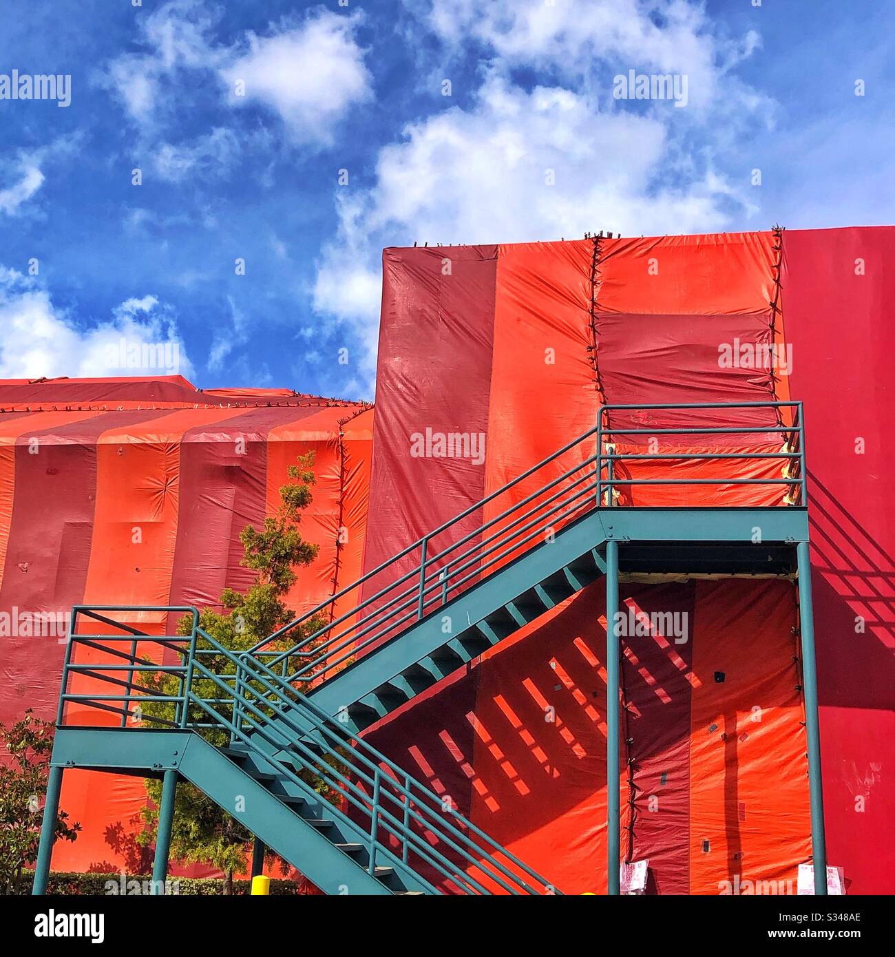 Termite Tenting Color Stock Photo Alamy