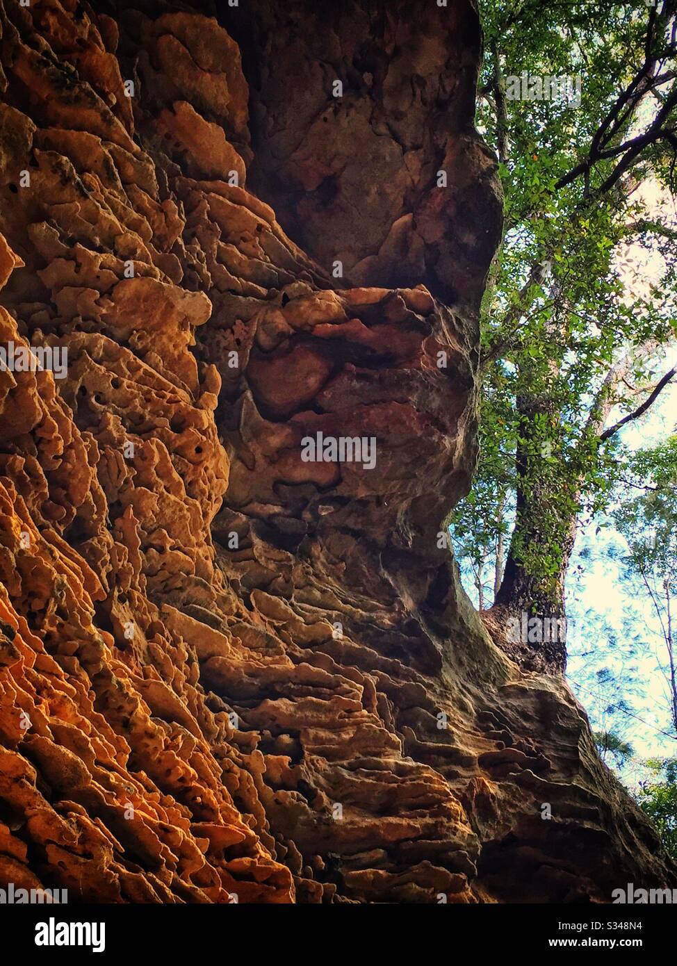 Detail of weathered sandstone cliff, Birdwood Gully Reserve, Springwood, Blue Mountains, NSW, Australia - Smartphone Captured Stock Image
