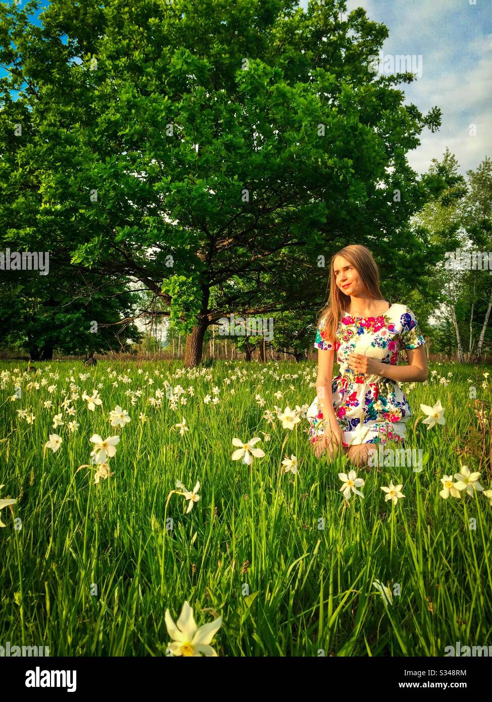 Young woman and a field of daffodils in summer - Smartphone Captured Stock Image