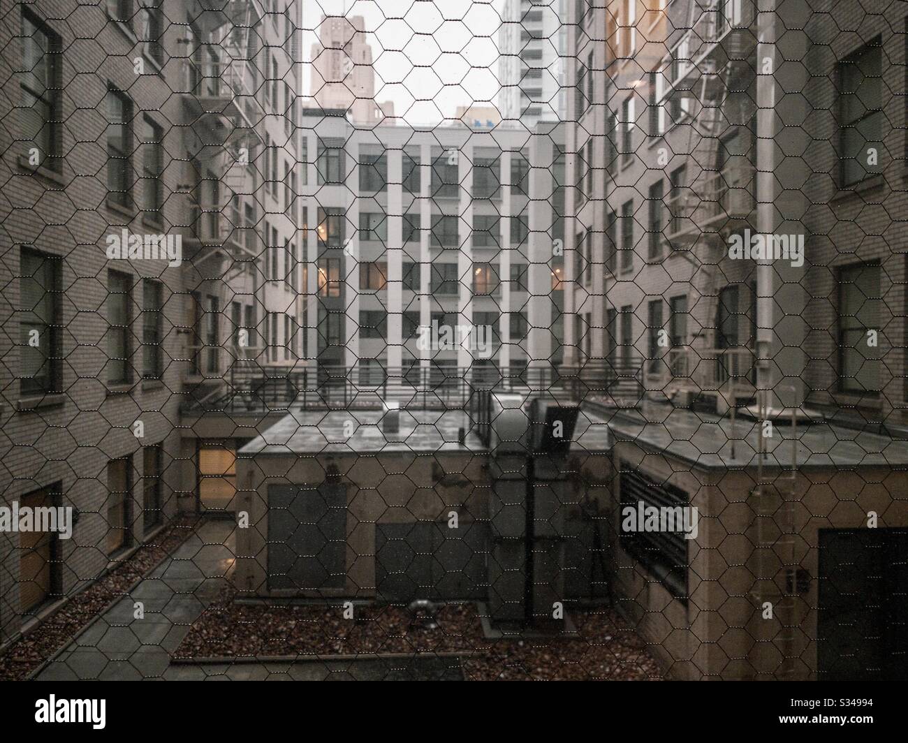 LOS ANGELES, CA, MAR 2020: enclosed yard at apartment building in Downtown, seen through reinforced safety-glass window. Focus on foreground - Smartphone Captured Stock Image