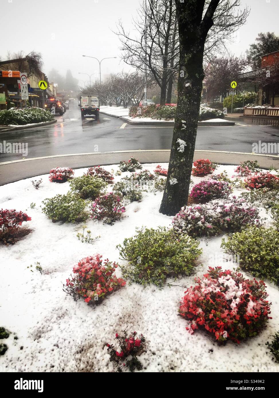 The village of Leura under an unseasonal spring snowfall, Blue Mountains, NSW, Australia - Smartphone Captured Stock Image