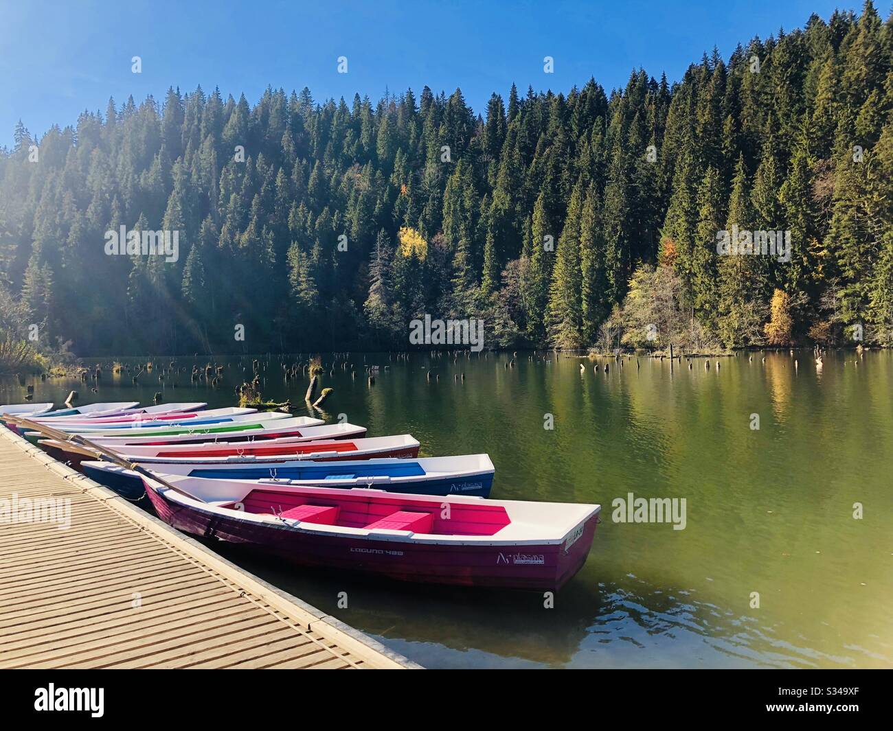 Colorful boats on the lake - Smartphone Captured Stock Image