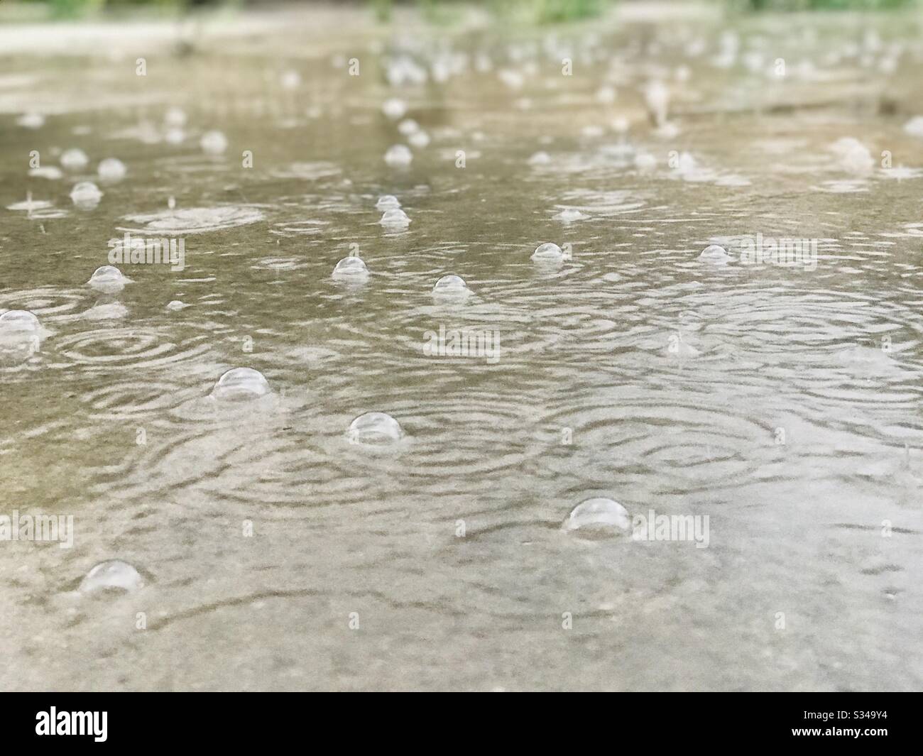 Bubble formation due to rain Stock Photo Alamy