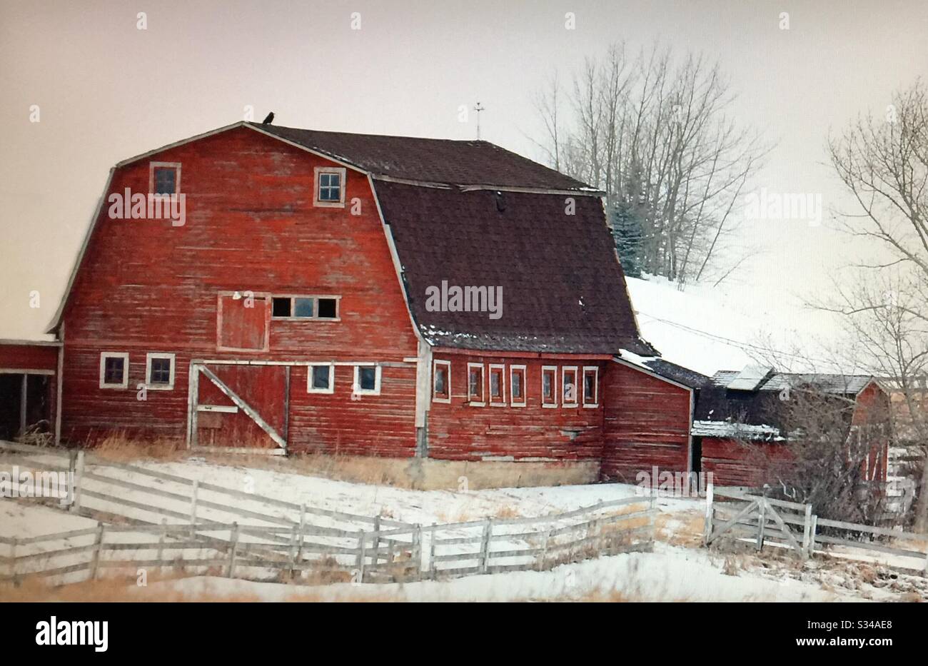 Old red hip roof barn building on a farm Stock Photo