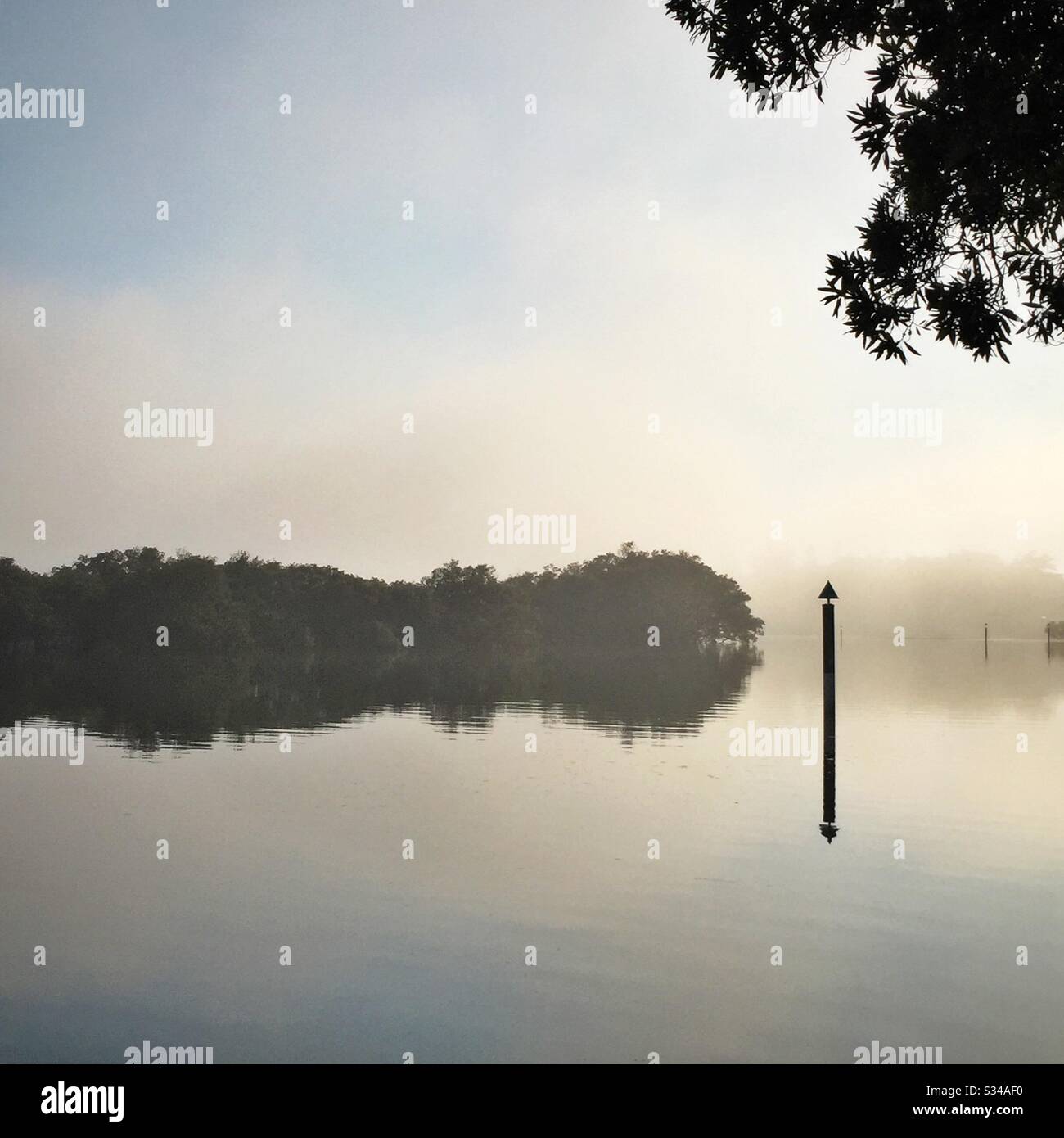 Morning mist on South West Rocks Creek, or Back Creek, South West Rocks, NSW, Australia - Smartphone Captured Stock Image