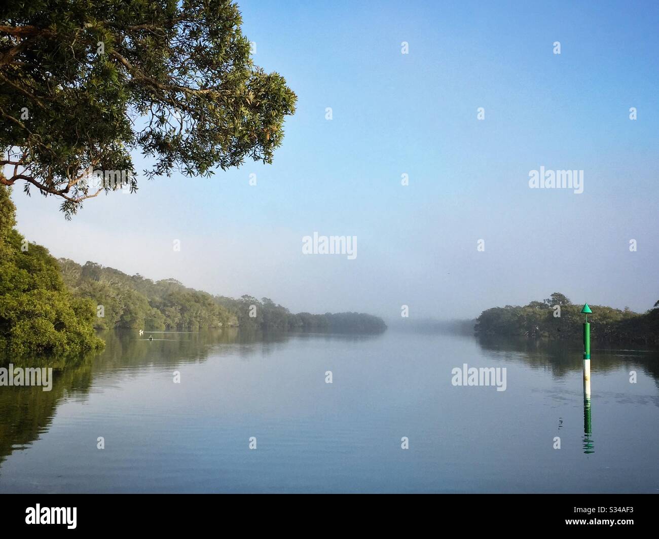 Morning mist on South West Rocks Creek, or Back Creek, South West Rocks, NSW, Australia - Smartphone Captured Stock Image