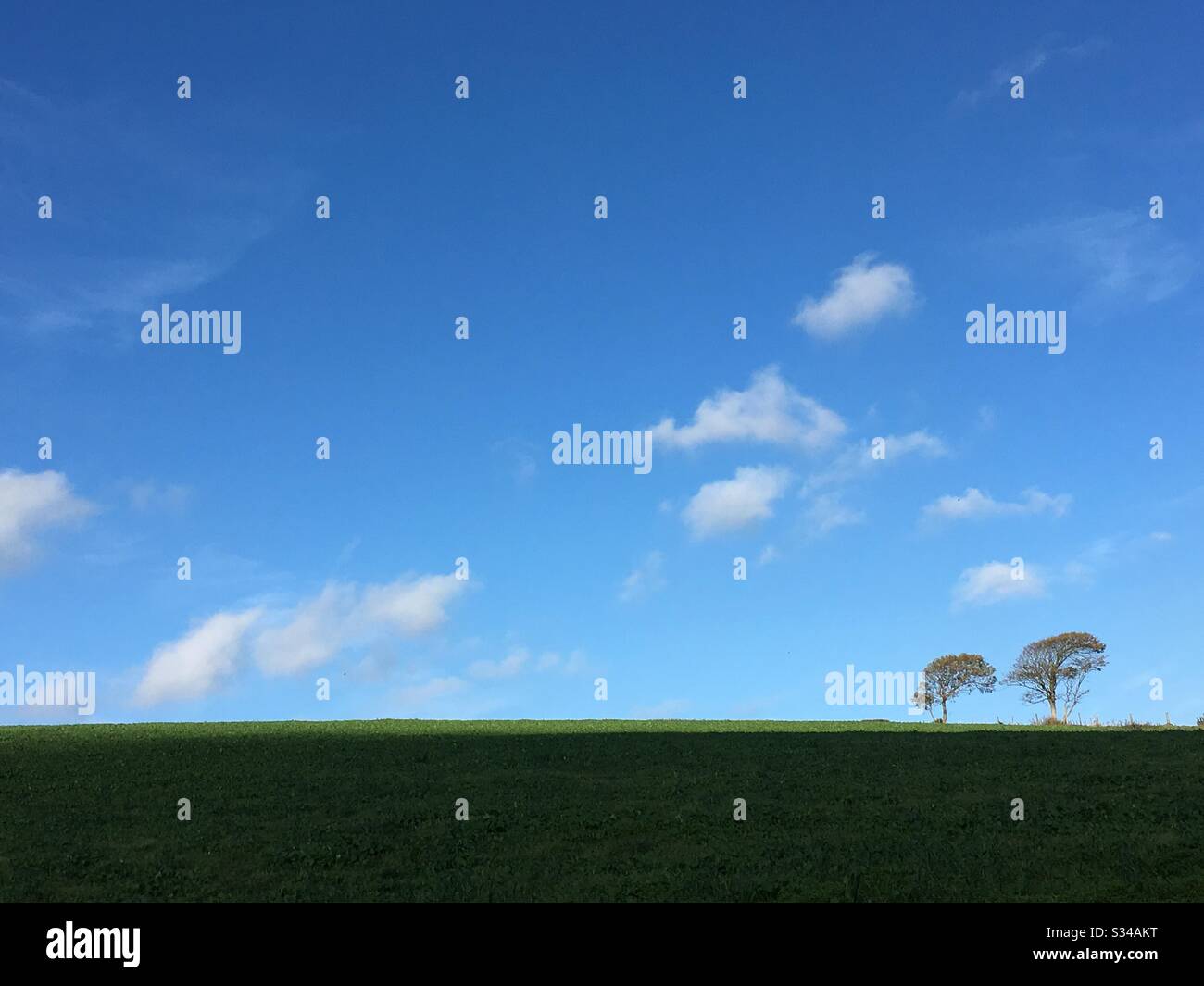 Two tiny trees on the horizon Stock Photo