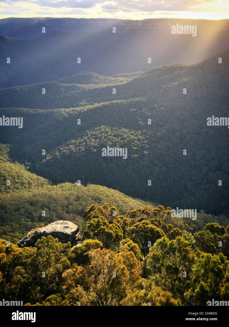 Late afternoon sunlight illuminates the Jamison Valley, Blue Mountains National Park, NSW, Australia - Smartphone Captured Stock Image