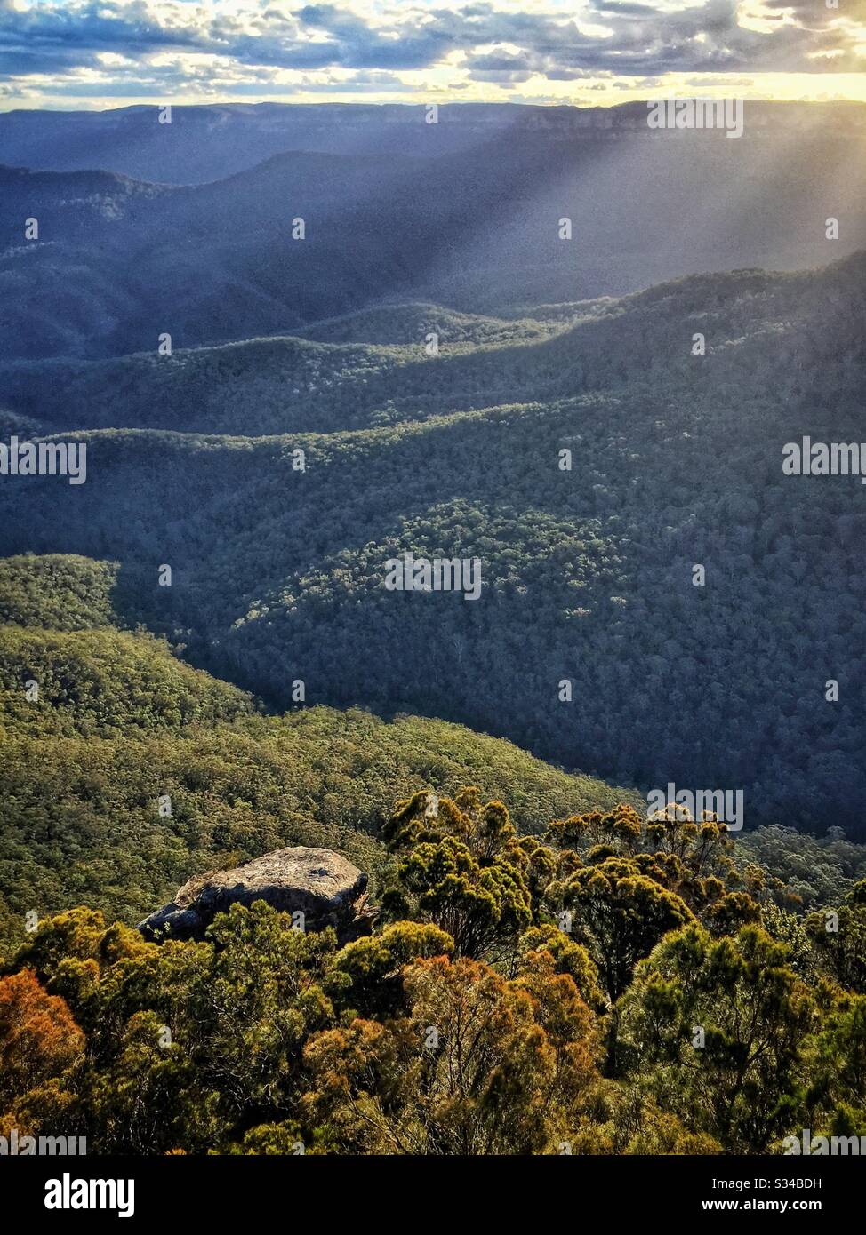 Late afternoon sunlight illuminates the Jamison Valley, Blue Mountains National Park, NSW, Australia - Smartphone Captured Stock Image