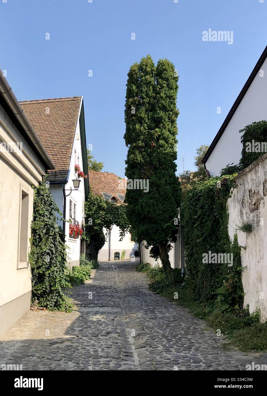 Narrow cobbled street in the town of Szentendre, Budapest, Hungary along the Danube River. - Smartphone Captured Stock Image