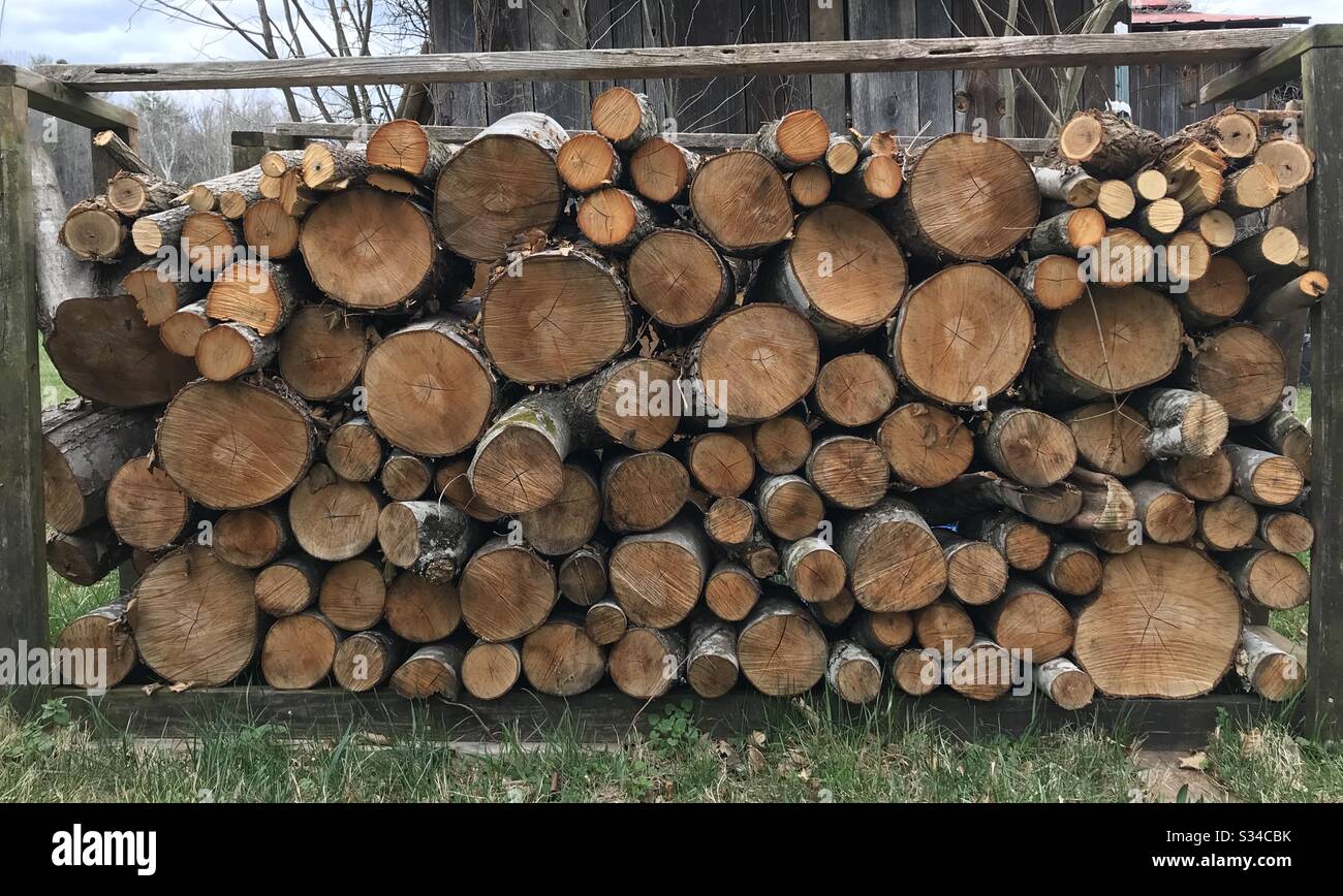 Wood rack with fresh cut round logs firewood Stock Photo