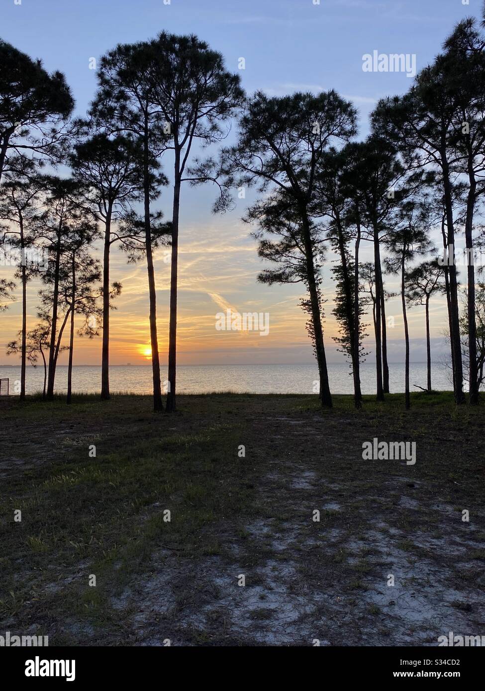 Sunset on the Choctawhatchee Bay in Florida with pine tree silhouettes Stock Photo