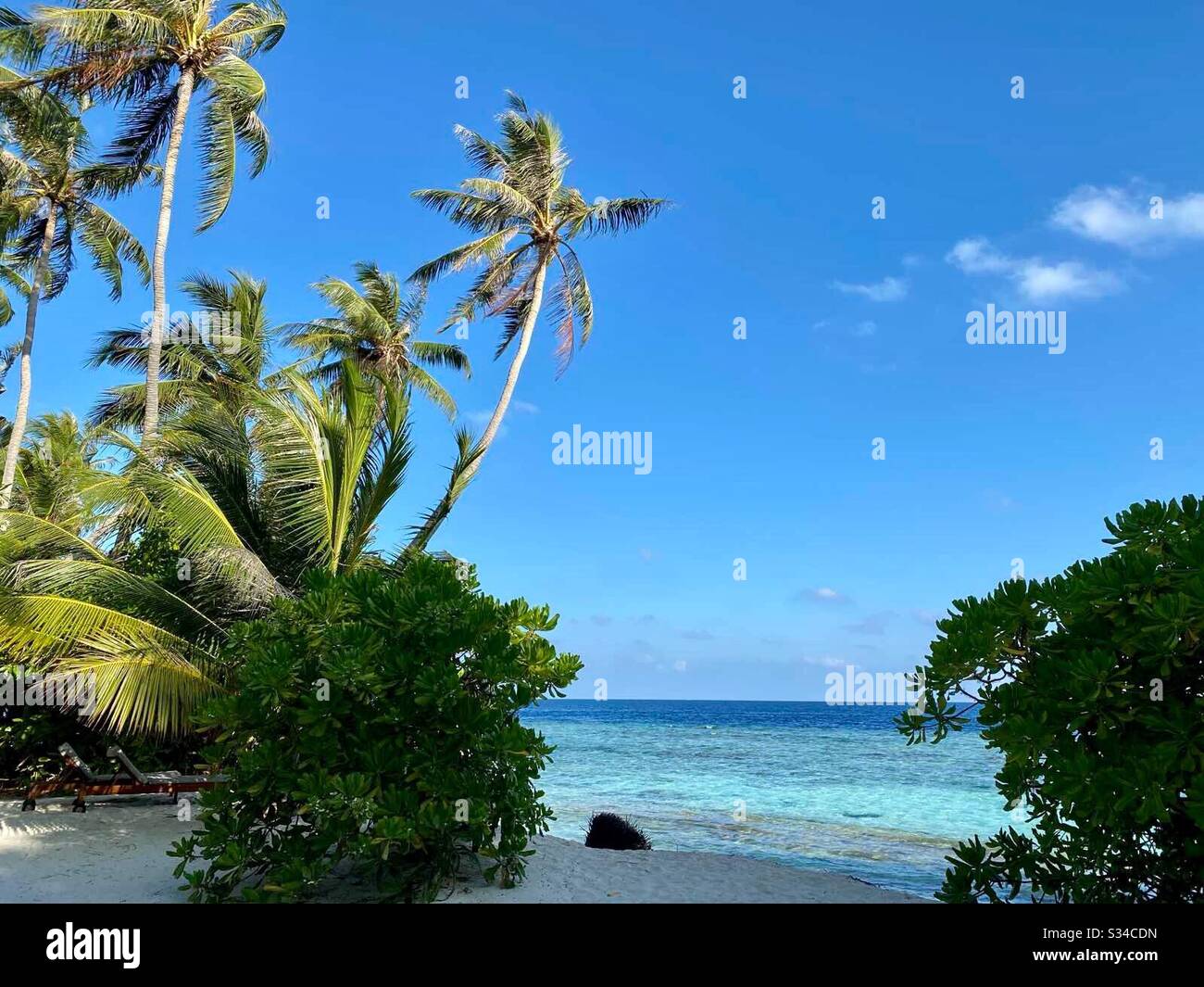 Beautiful seascape of tropical island palm trees and sandy beach in the Maldives as idyllic summertime holiday destination - Smartphone Captured Stock Image