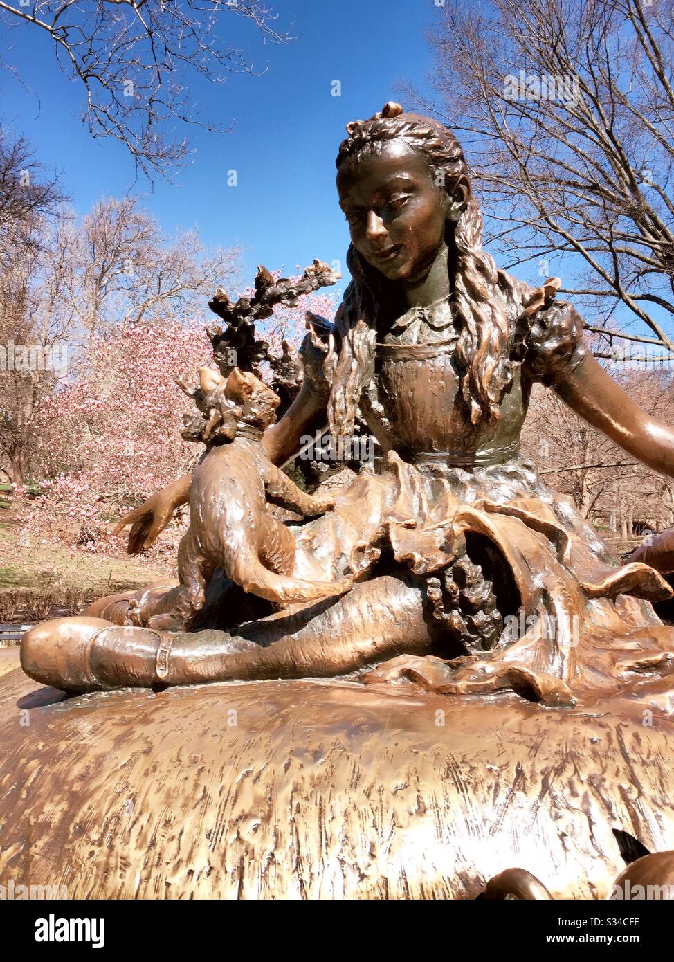 Alice in wonderland sculpture in central park is surrounded by blooming cherry trees in the spring, NYC, USA - Smartphone Captured Stock Image