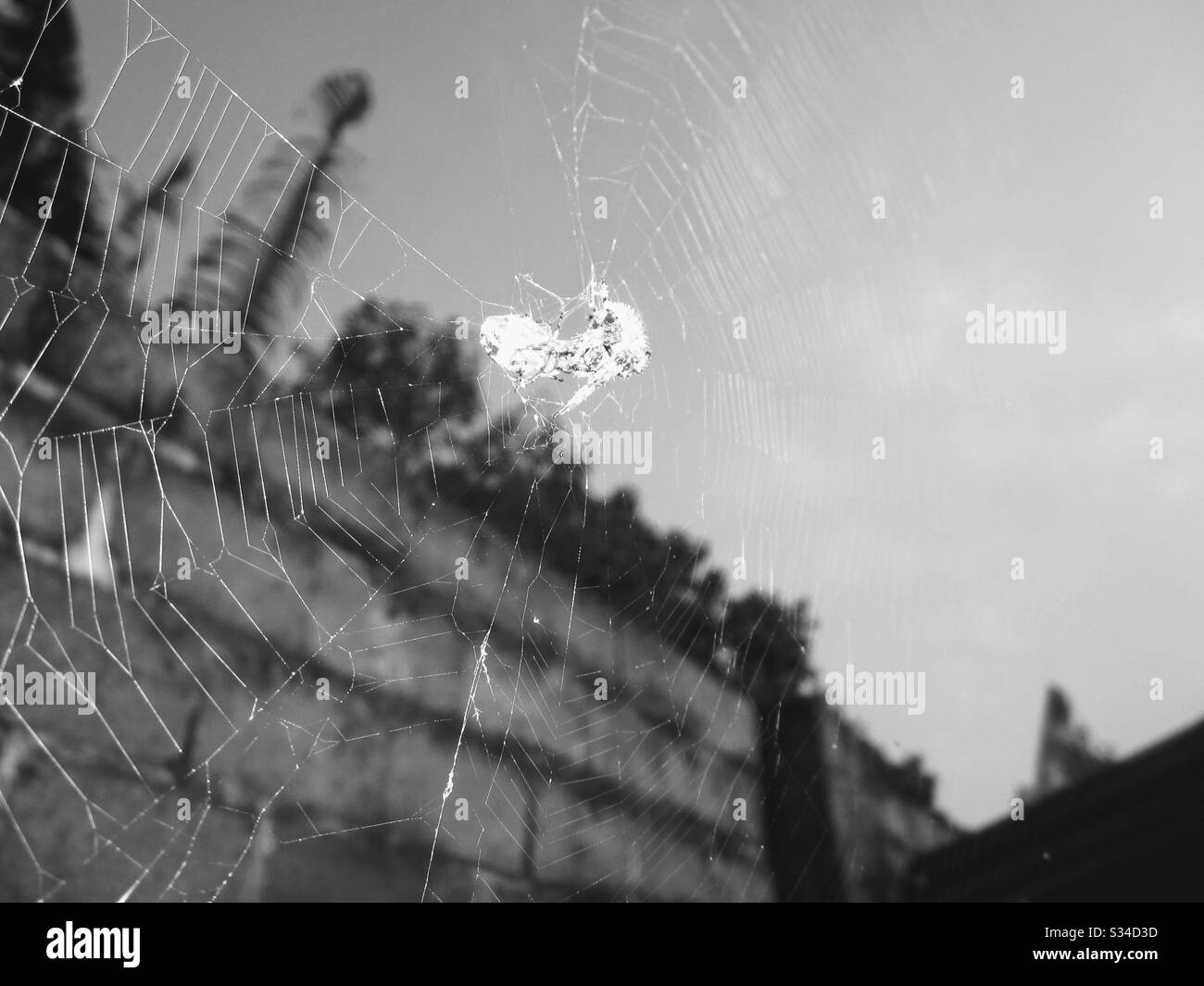 Black and White - Smartphone Captured Stock Image