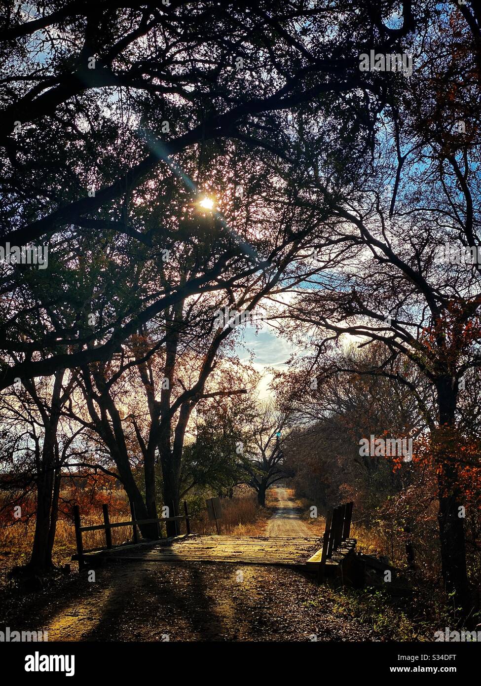 A Texas dirt road in the fall. - Smartphone Captured Stock Image