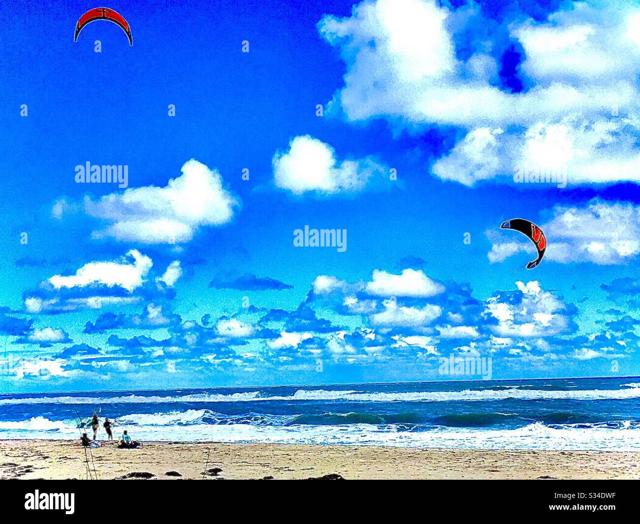 Windy day Palm Beach Stock Photo