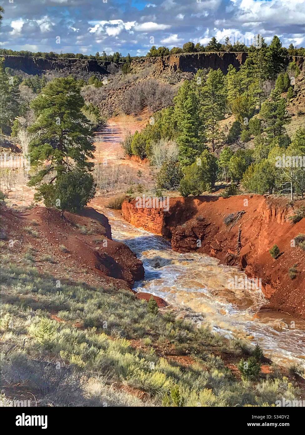 Show low arizona hires stock photography and images Alamy