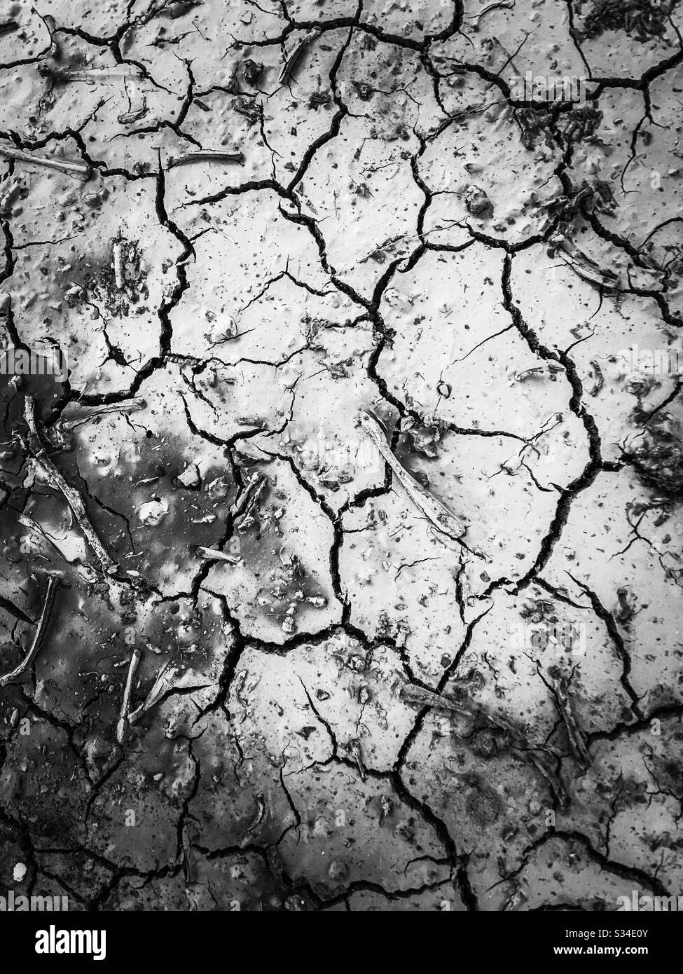 Cracking soil in black and white Stock Photo