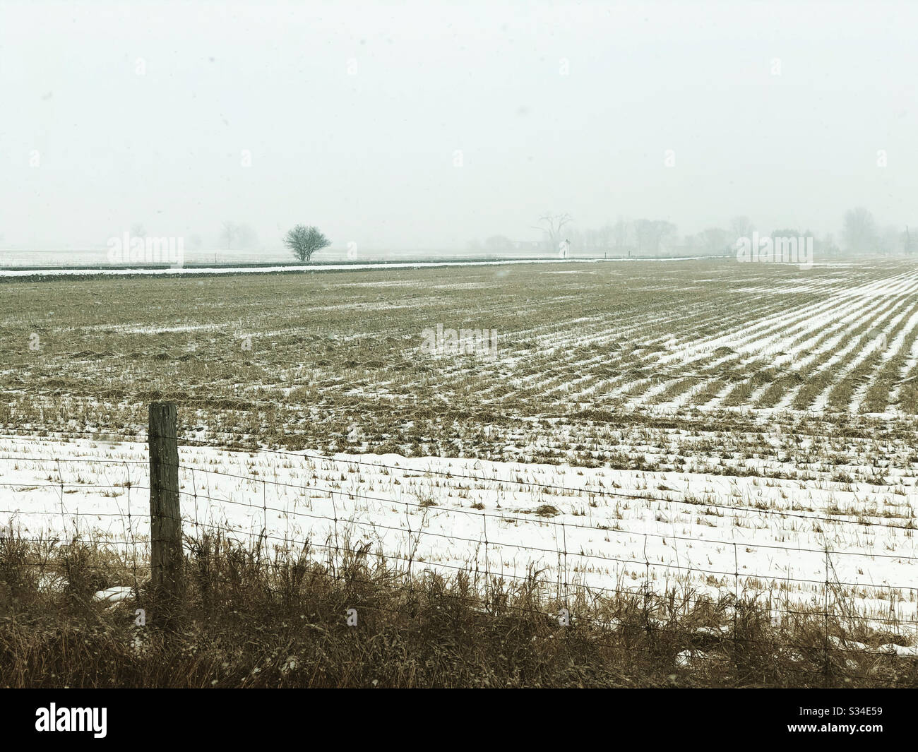 Snowing over the farm field, Eastern Ontario, Canada, March 2020 - Smartphone Captured Stock Image