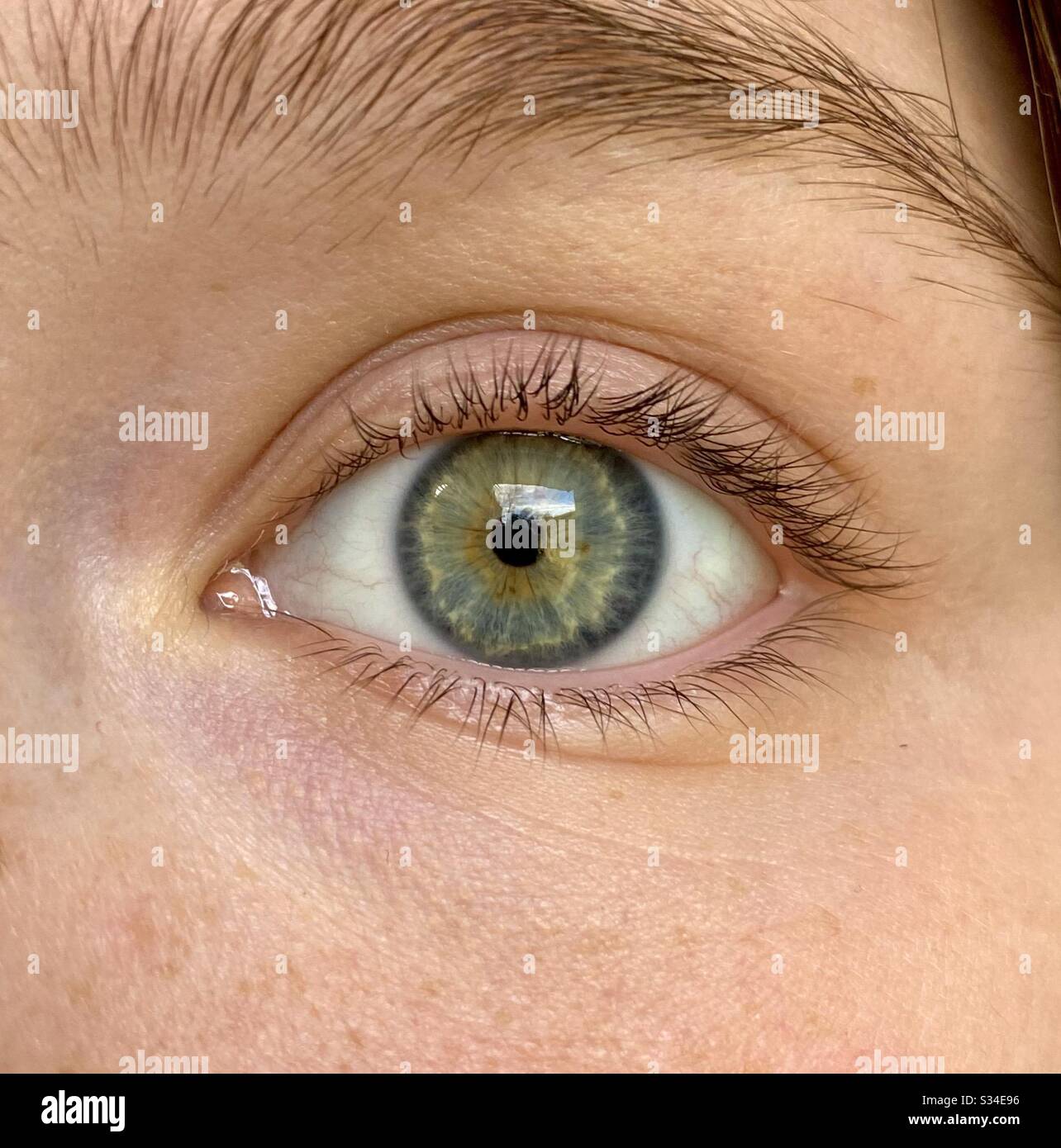 Eye glare hires stock photography and images Alamy