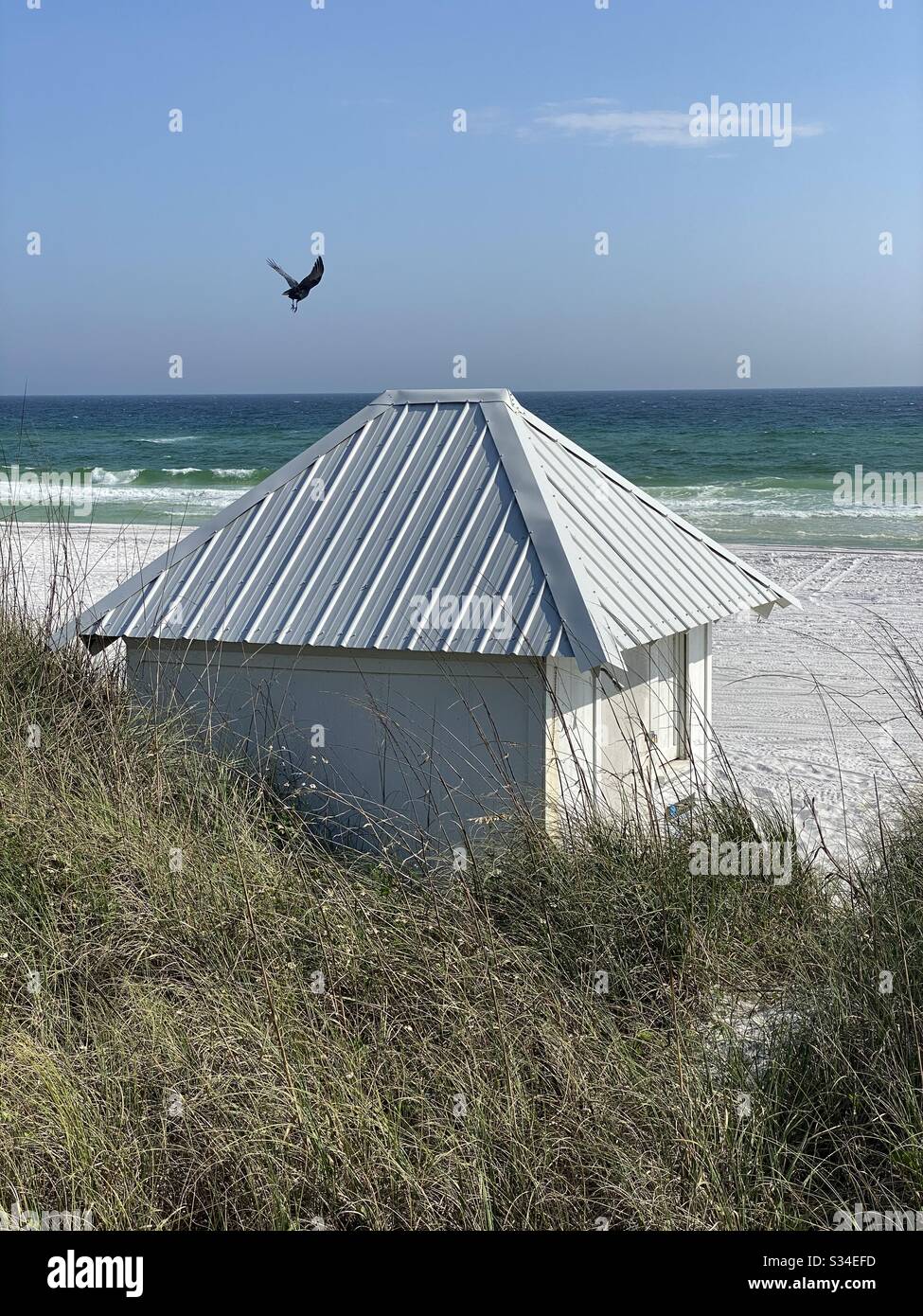 White beach hut on white sand beach with a black bird flying in the air Stock Photo