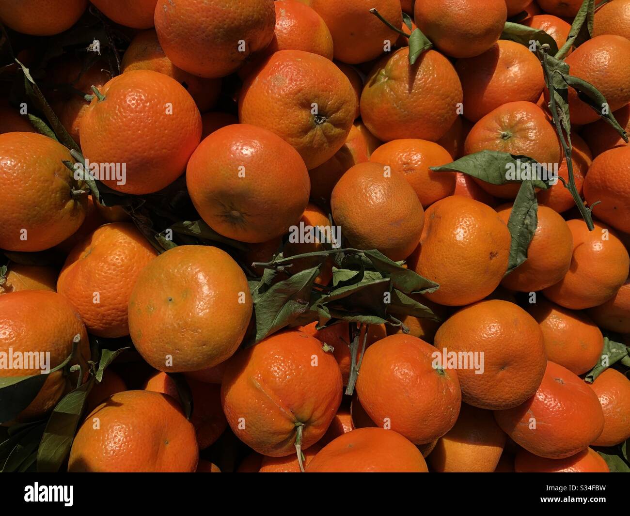 Pile of clementines for sale in a British shop Stock Photo Alamy
