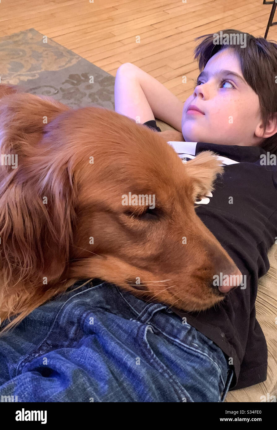 A dog’s best friend Stock Photo