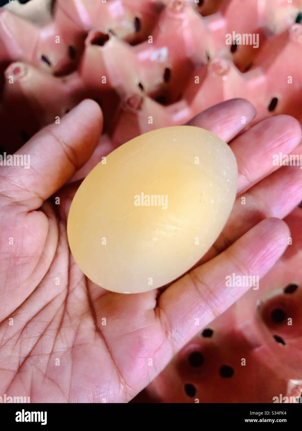 An eggs without a shell. Laid prematurely by chickens that are shocked or grabbed by surprise. It also happens when chickens lack calcium. Egg white and yolk have the same texture and flavor. Stock Photo