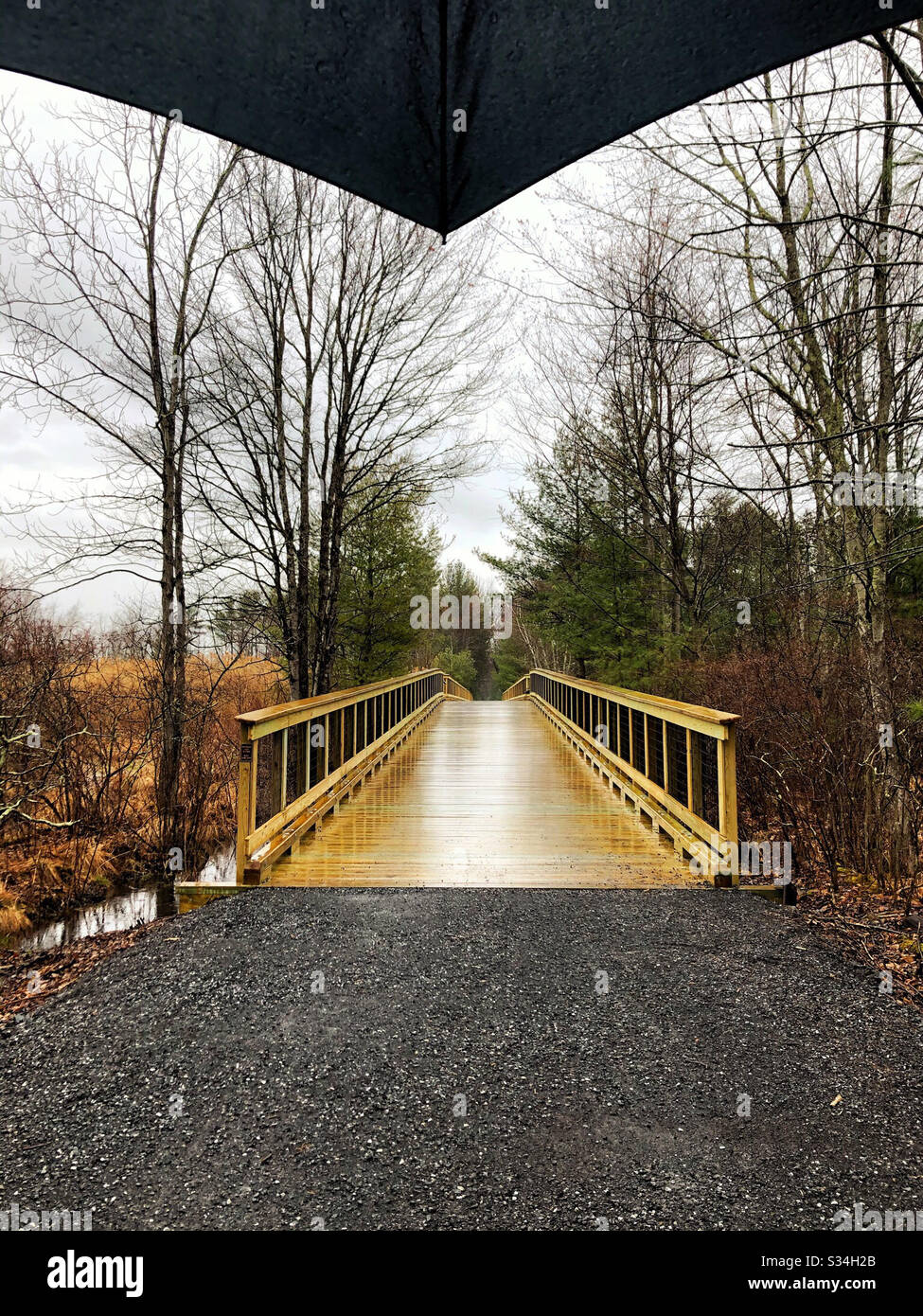 Rainy day walk on rail trail, hiking and biking path in the country, with footbridge over stream and umbrella Stock Photo