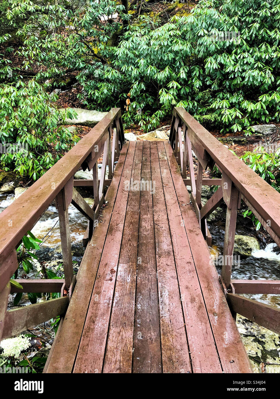 Footbridge in nature preserve over stream for hikers - Smartphone Captured Stock Image