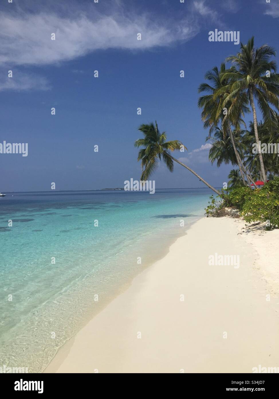 Tropical beach in the Maldives - Smartphone Captured Stock Image